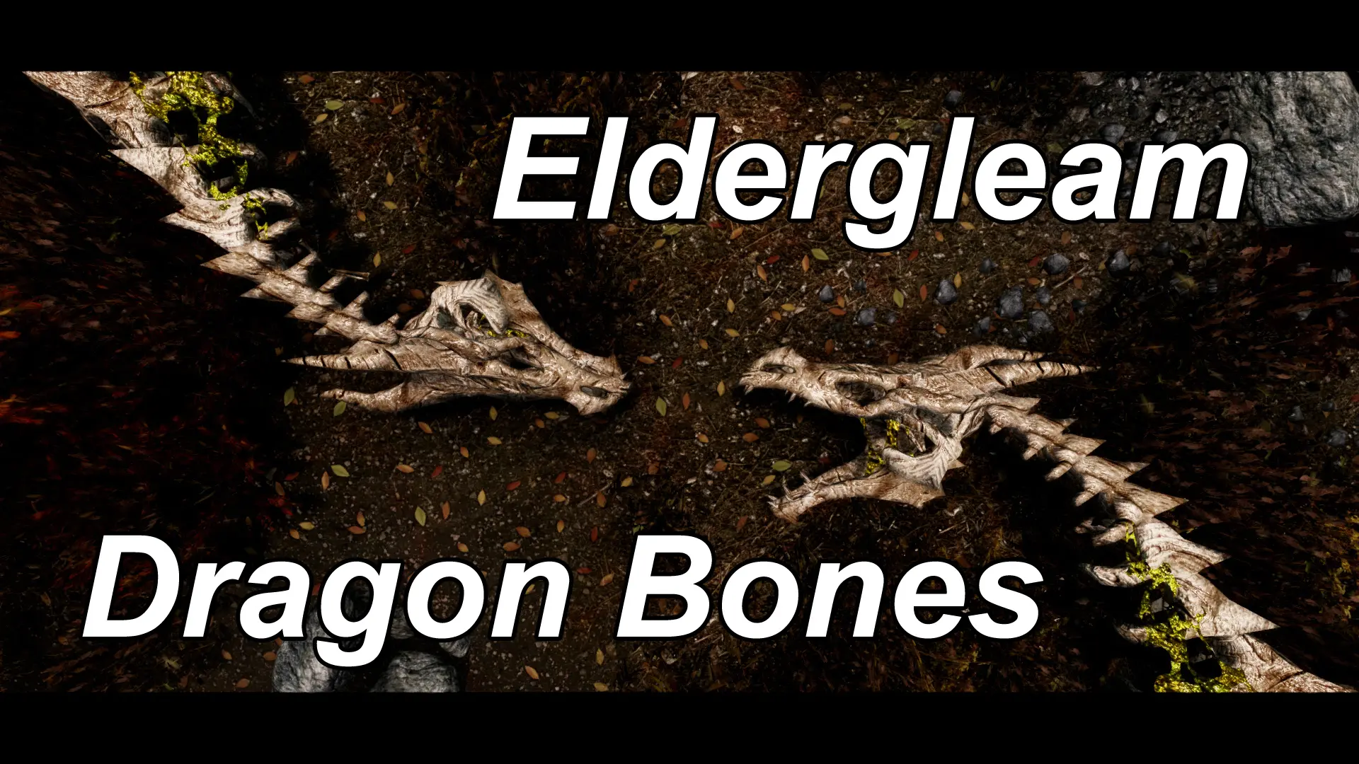 Eldergleam Dragon Bones at Skyrim Nexus - mods and community