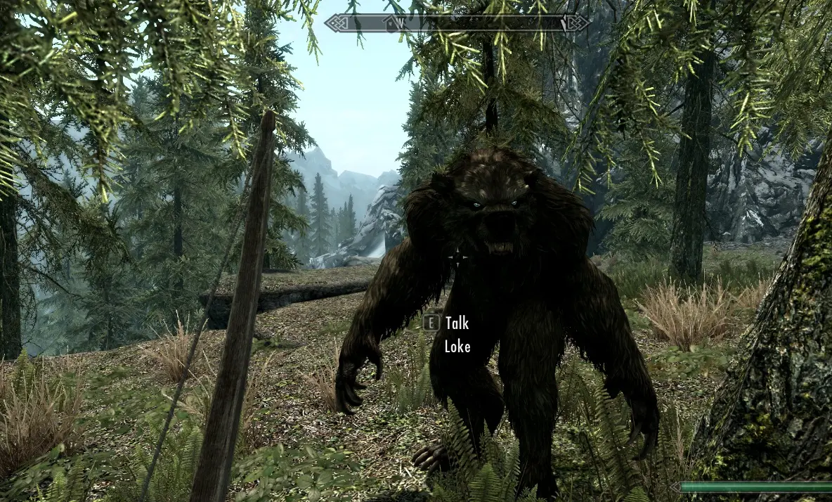 Werebear Follower At Skyrim Nexus Mods And Community   31054 1 1360101799 