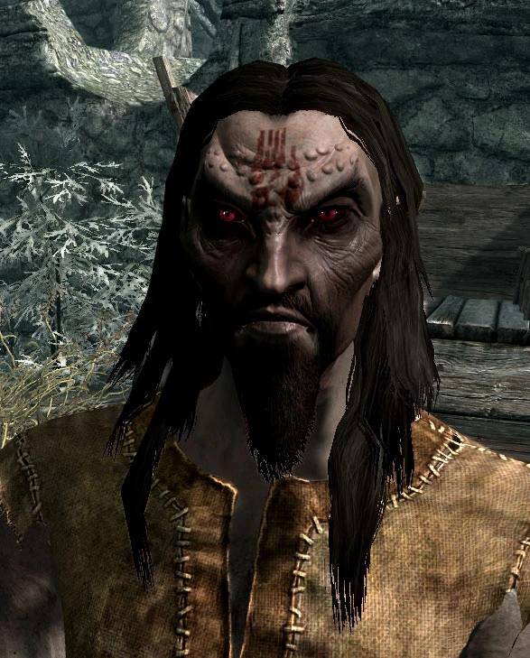 The Dunmer of Morrowind  31474-2-1360619474