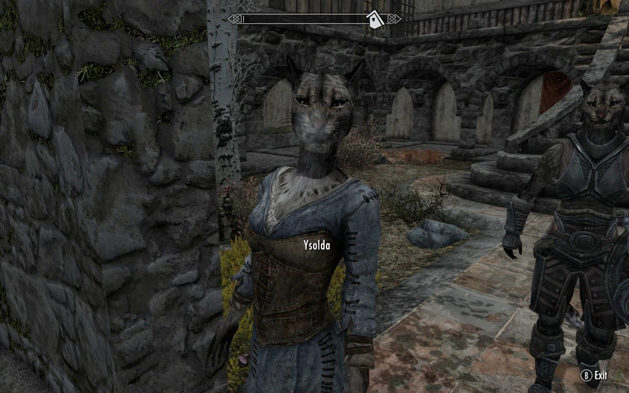 Lydia And Ysolda Are Khajiit At Skyrim Nexus Mods And Community Images, Photos, Reviews