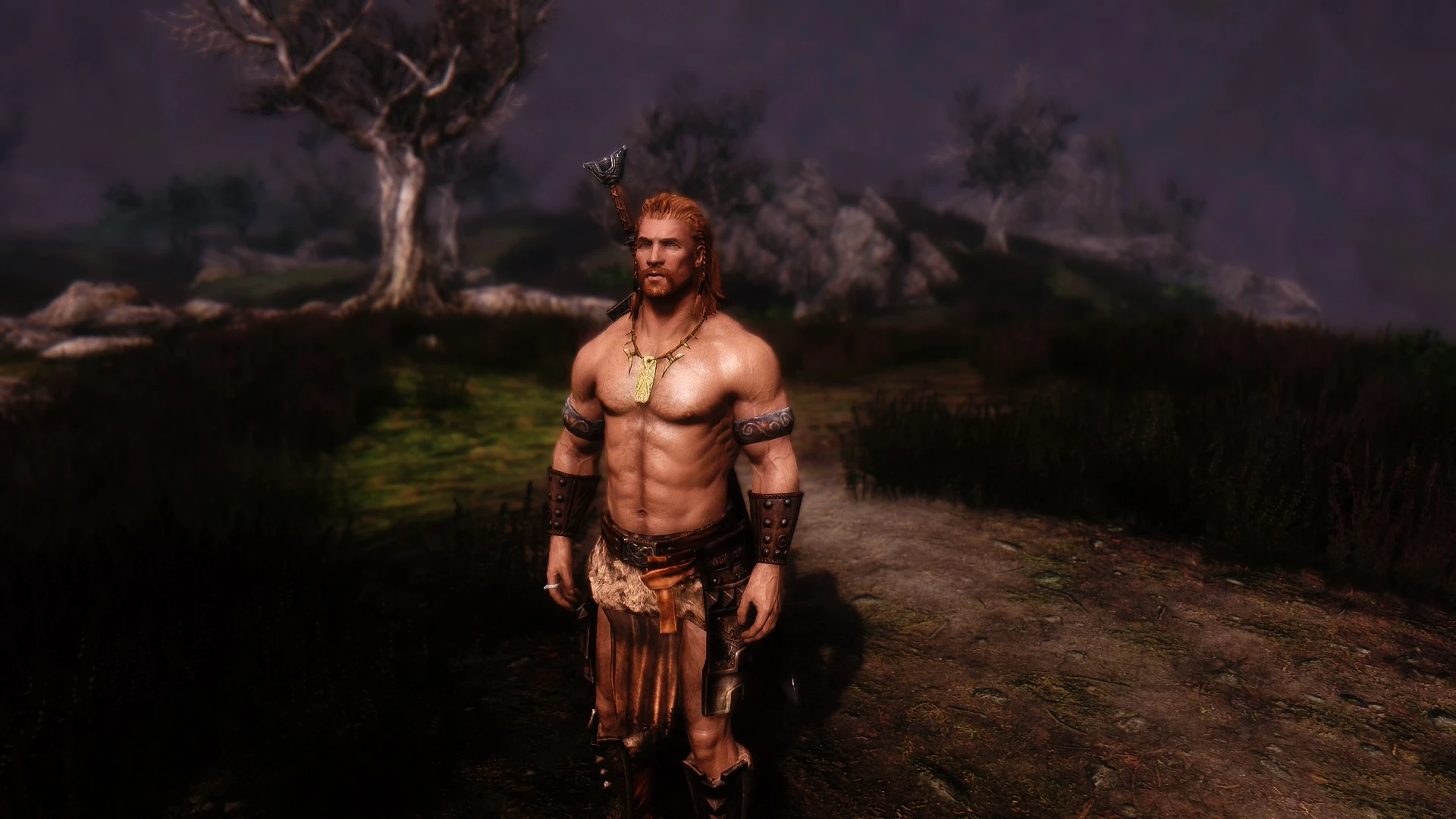 Erik The Slayer Now Older And Wiser At Skyrim Nexus Mods And Community