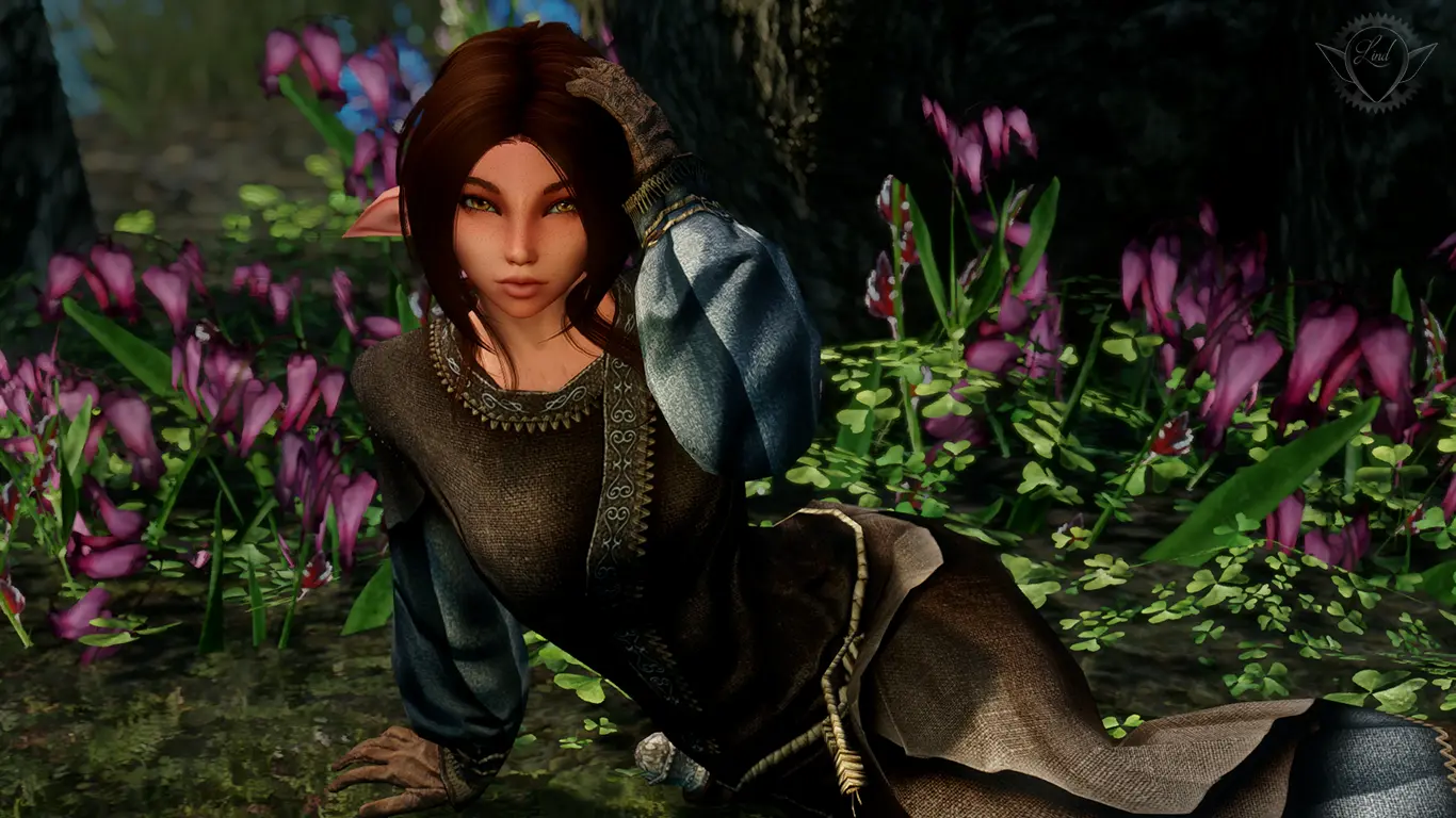 Animations replacer. Чертополох скайрим реплейсер. Броня Lind. Lind's Marksmage garb. Lind's Marksmage garb Retexture.