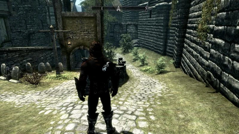 skyrim special edition dark envoy vs true batform