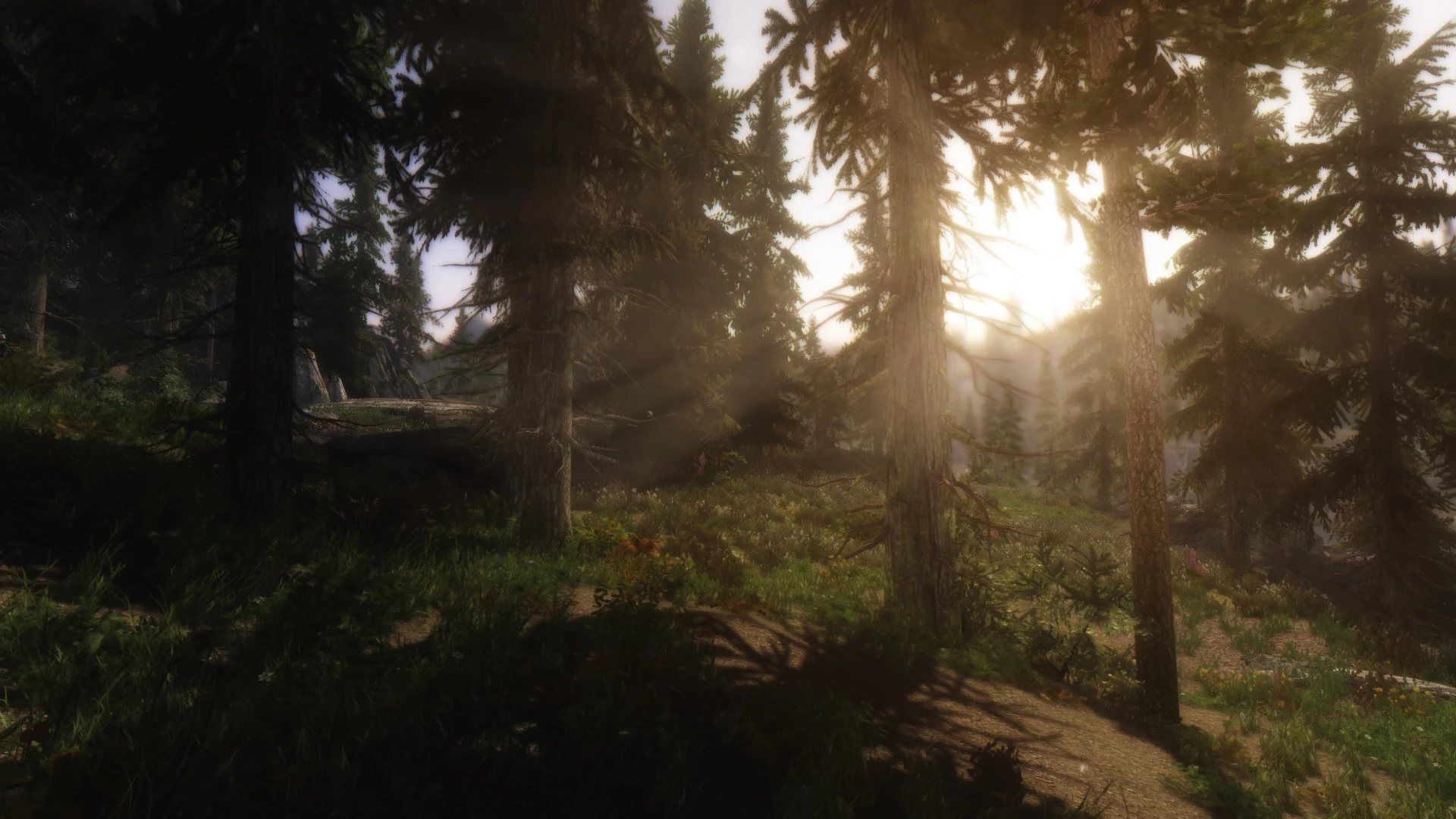 Realistic Pine Trees at Skyrim Nexus - Mods and Community