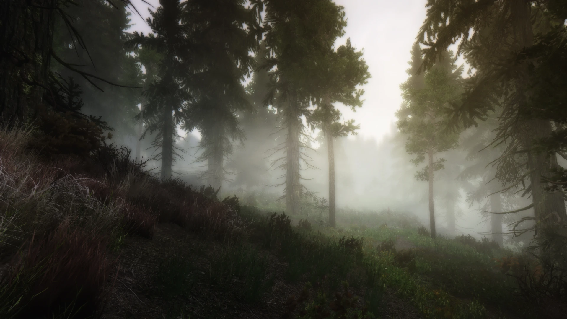 Realistic Pine Trees at Skyrim Nexus - Mods and Community