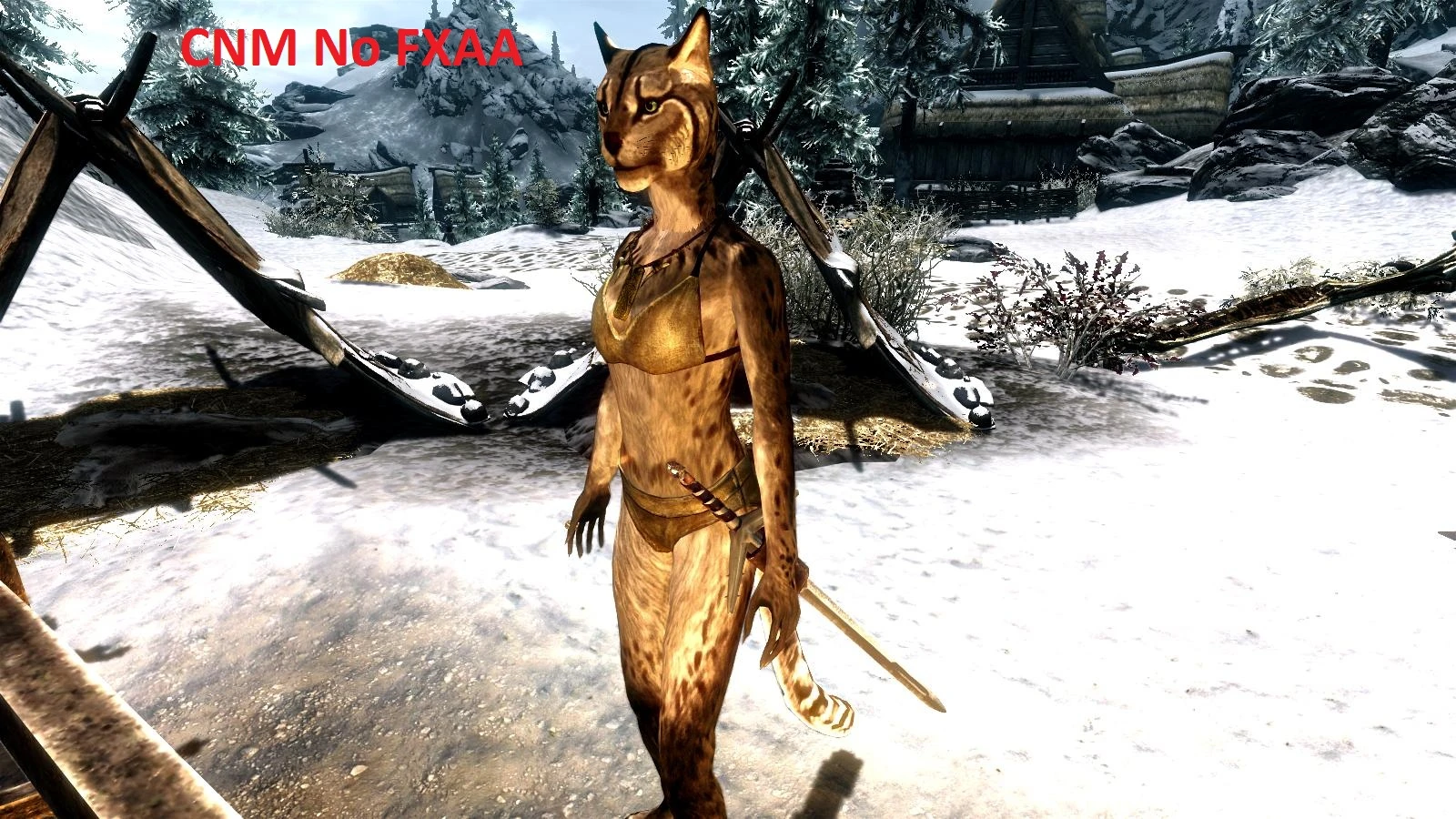 Khajiit Texture Update By Jazzjr At Skyrim Nexus Mods And Community