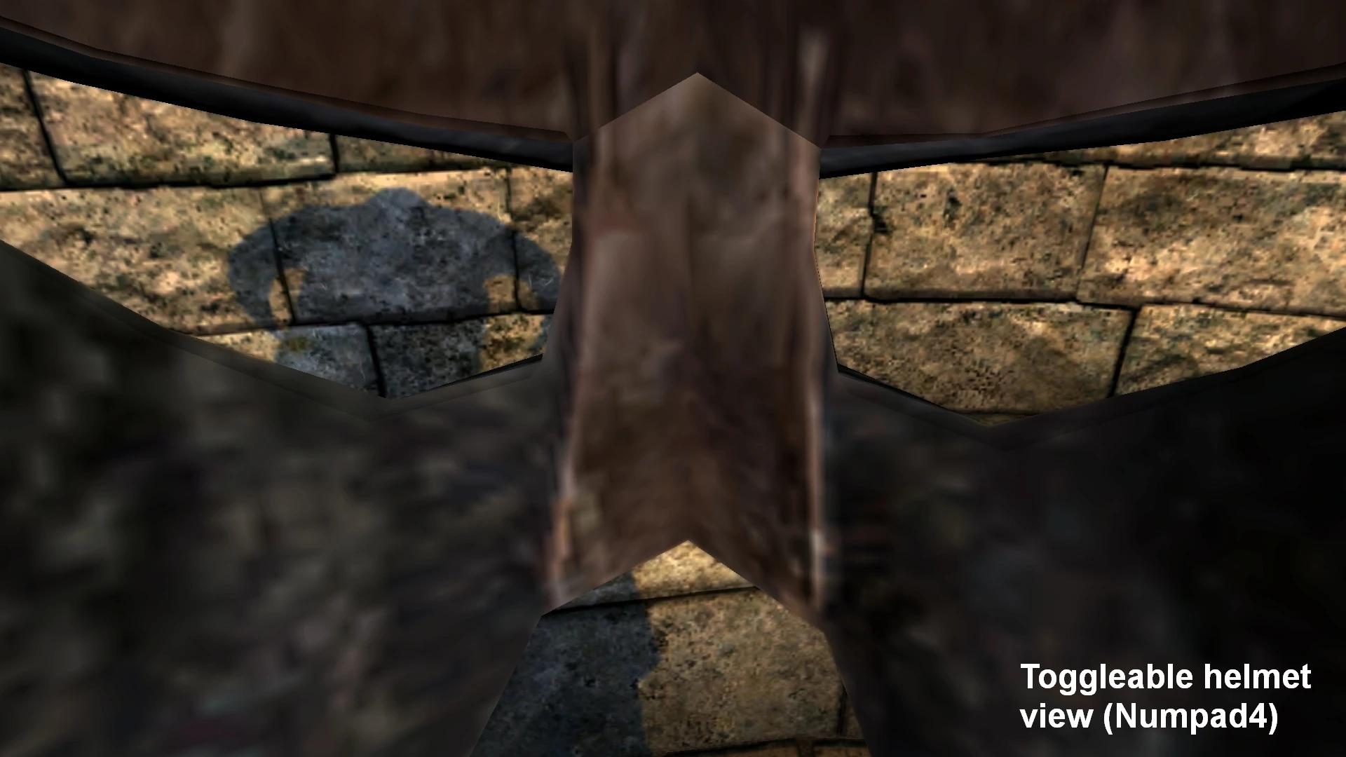 Immersive first. Skyrim 1 person. Skyrim Special Edition immersive first person view. Тропический сексрим DD 3.0 финал осенне-зимний аддон. Immersive first person view Bug.