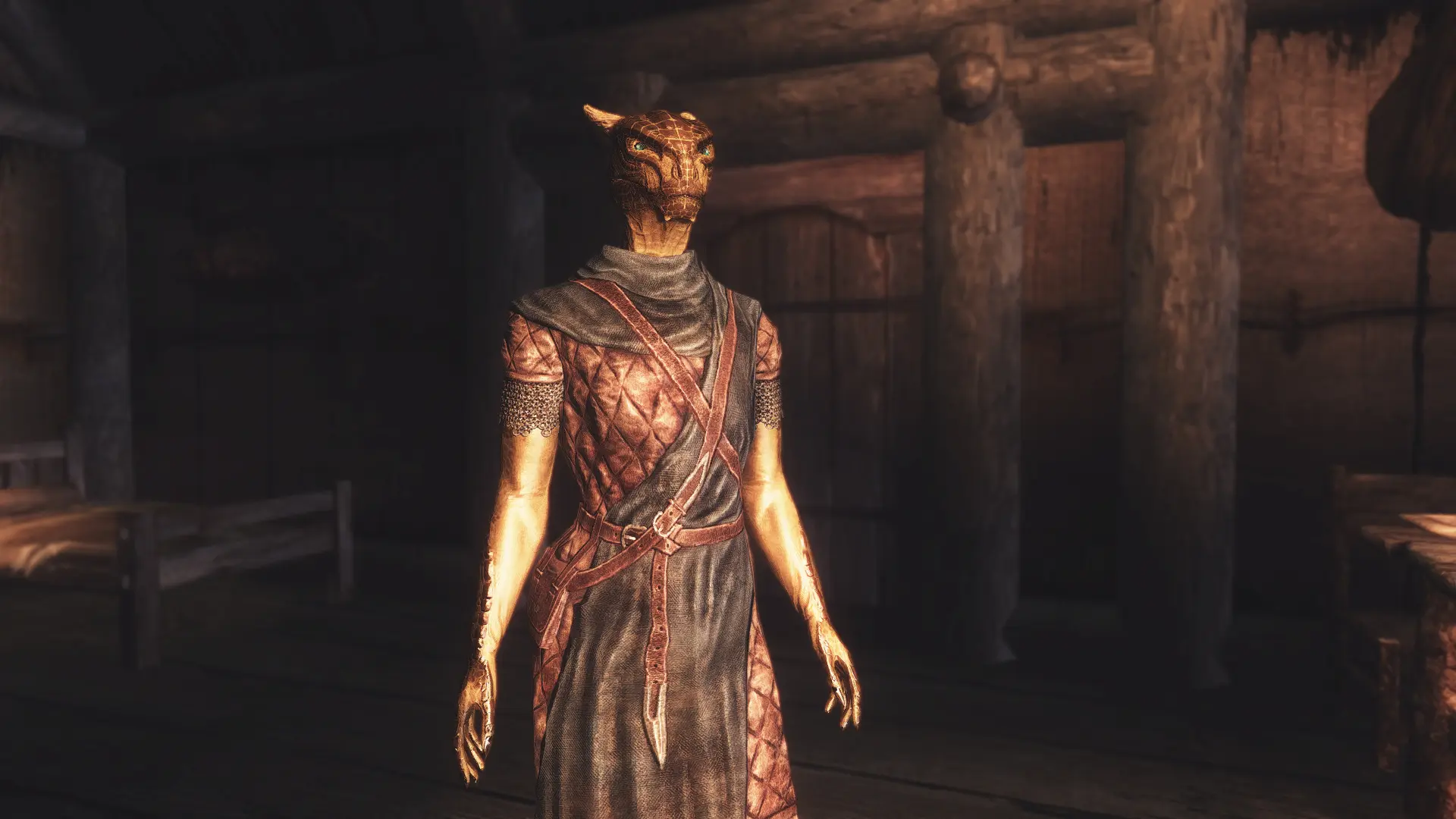 Skyrim Breastless Argonian Females At Skyrim Nexus Mods And Community