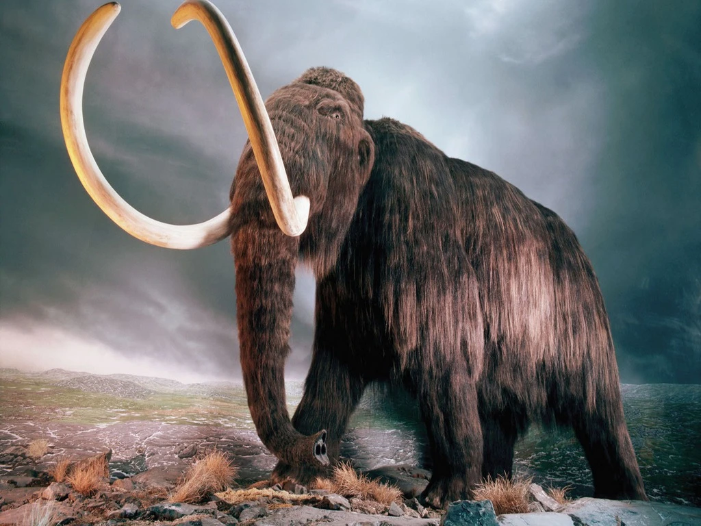 Manny The Mammoth - Animal Follower at Skyrim Nexus - mods and community