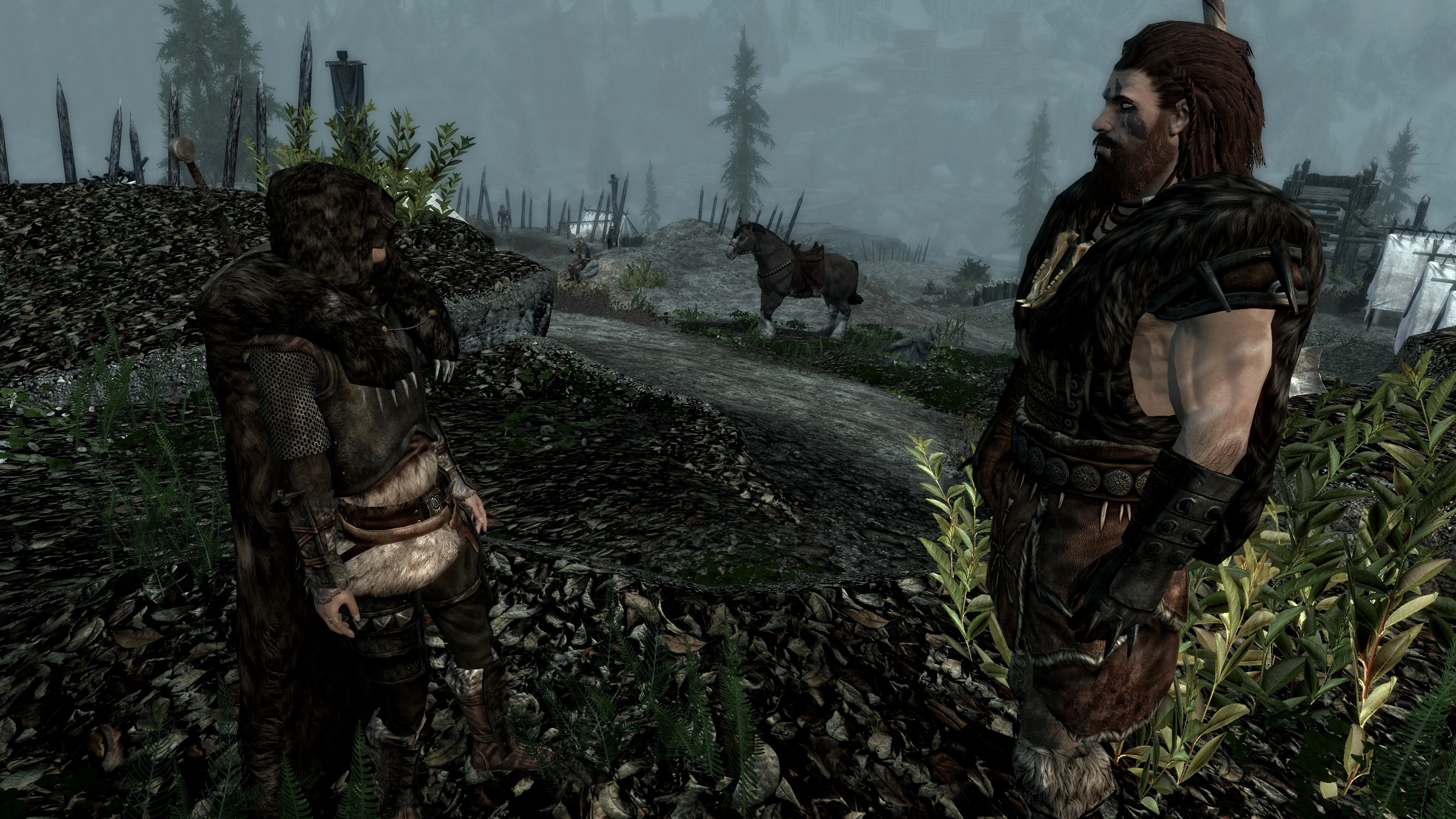 Skyrim bruma проблемы