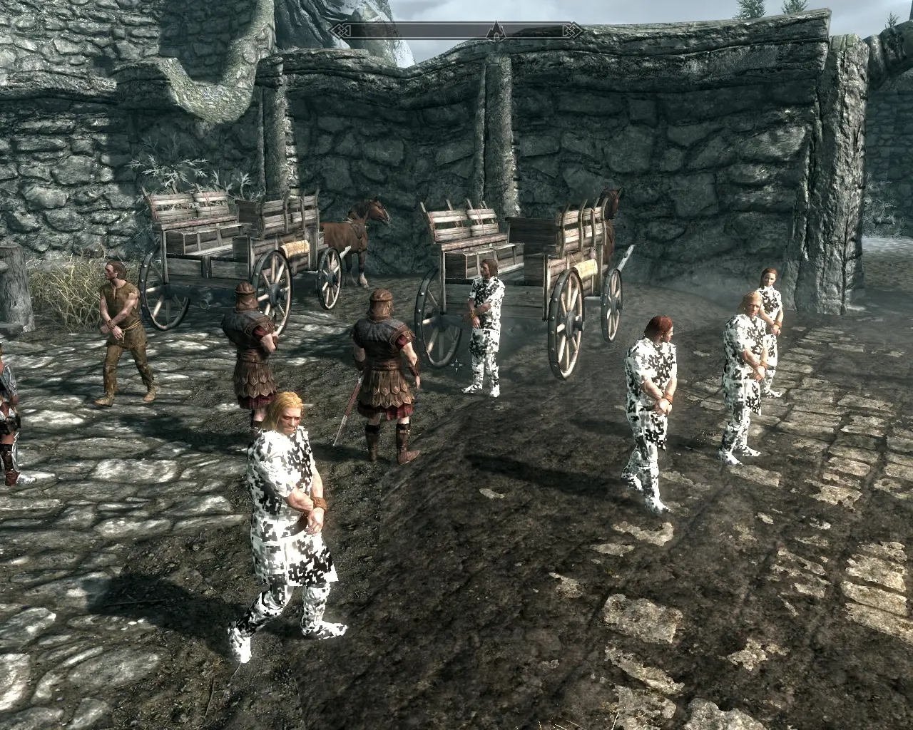 Digital Snow Camouflage Storm Cloaks at Skyrim Nexus - Mods and Community