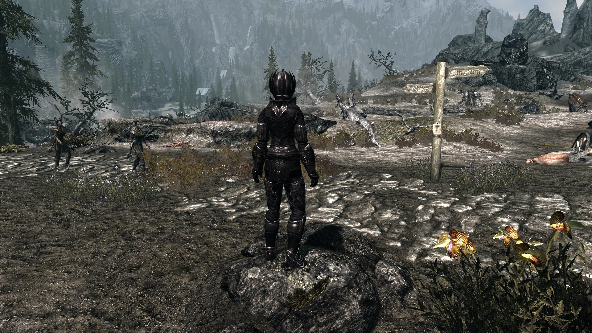 Steel Elven Armour And Weapons - Retexture At Skyrim Nexus - Mods And 