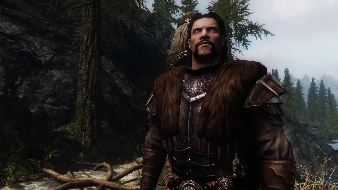 Grey Warden At Skyrim Nexus Mods And Community   57816 4 1409817393 