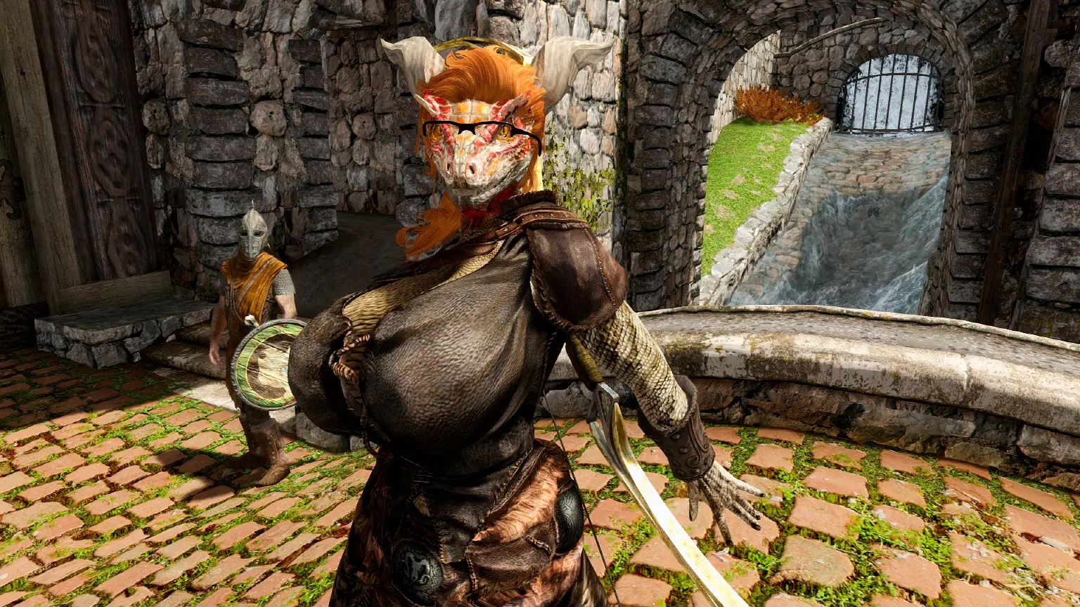 skyrim female follower mod