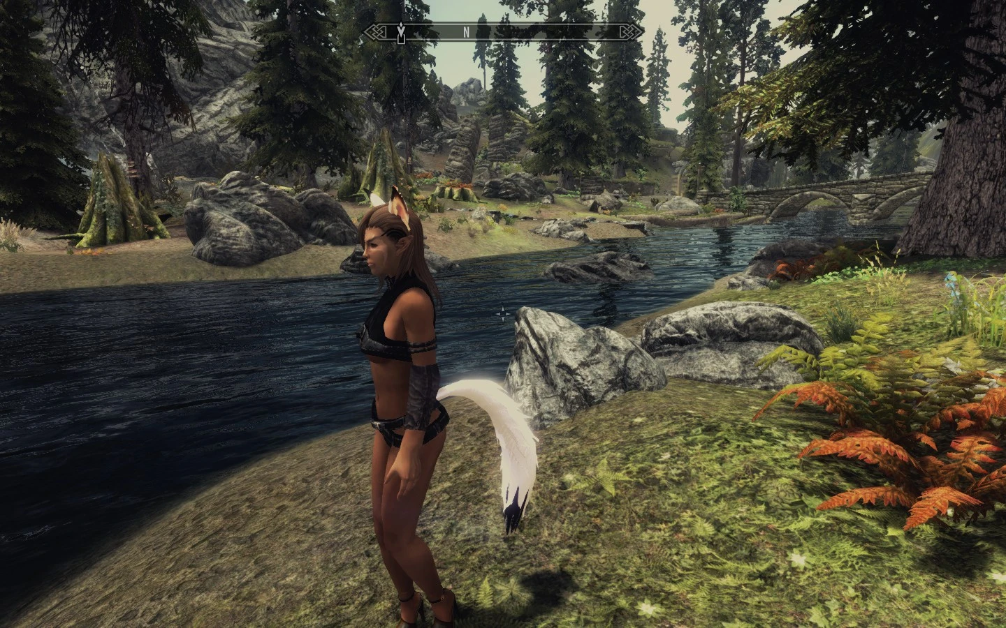 HDT Tails Wearable At Skyrim Nexus Mods And Community.