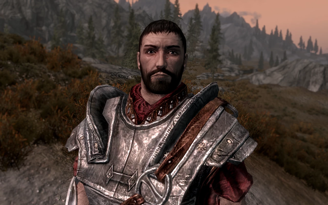 skyrim tank top mod