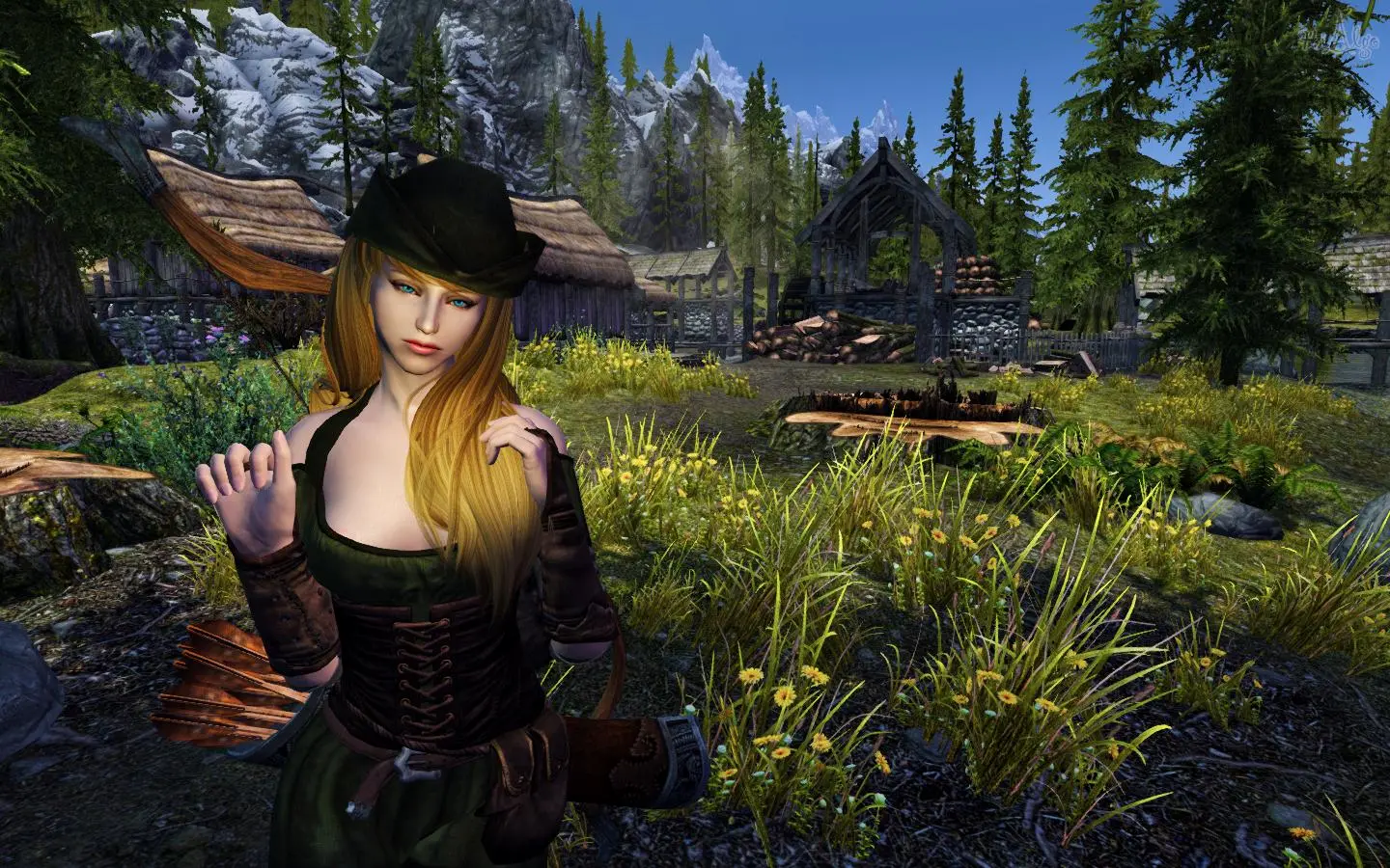 Skyrim Skyrim