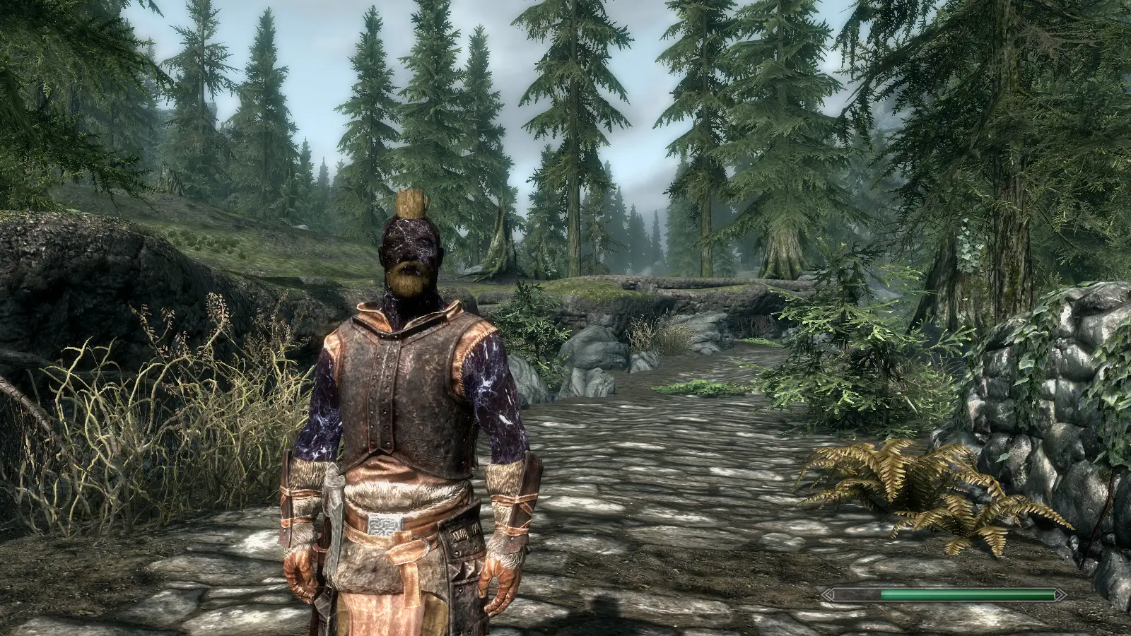 Skyrim ae alternative start. Skyrim броня убийцы тени.