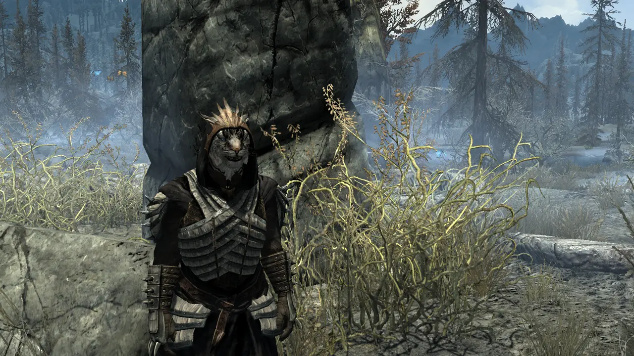 khajiit hair mod skyrim