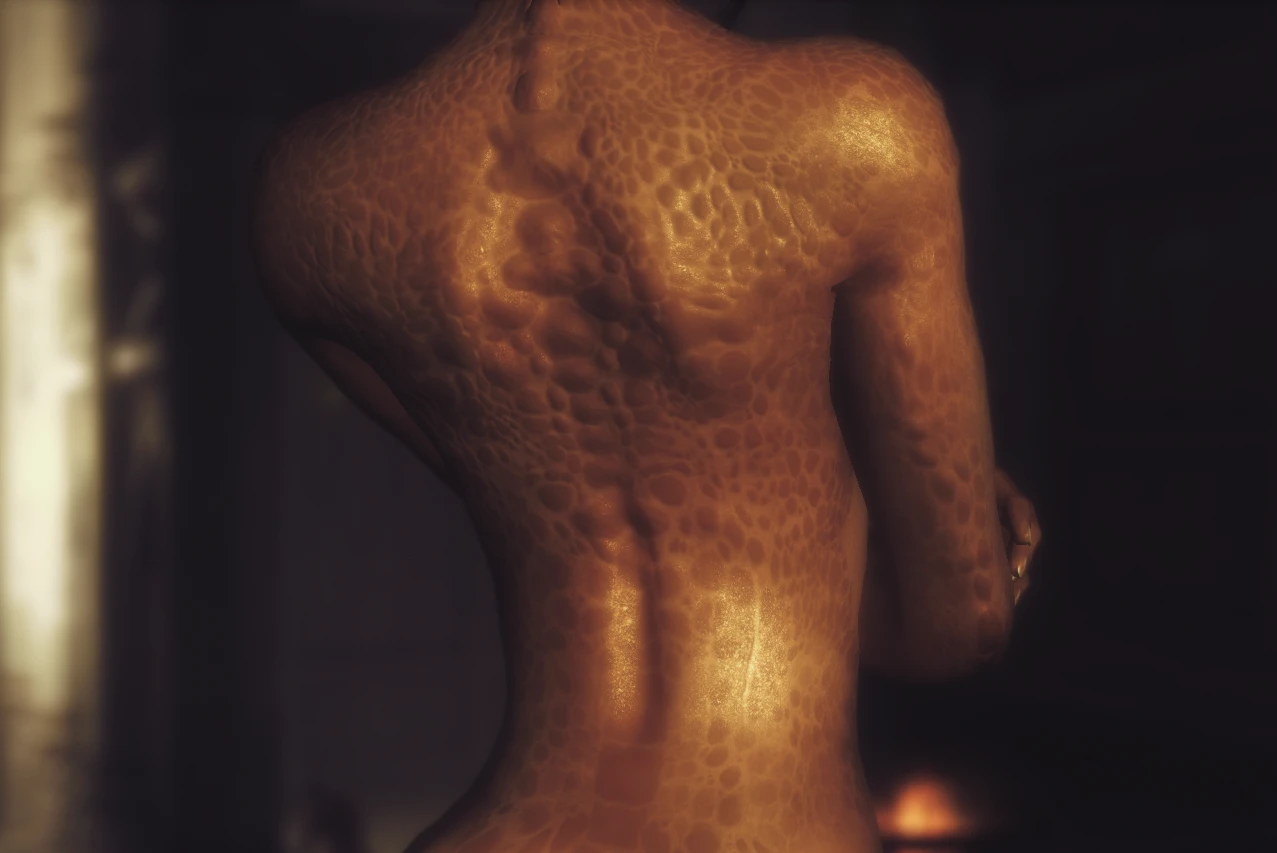 Oblivion Nude Skins 71