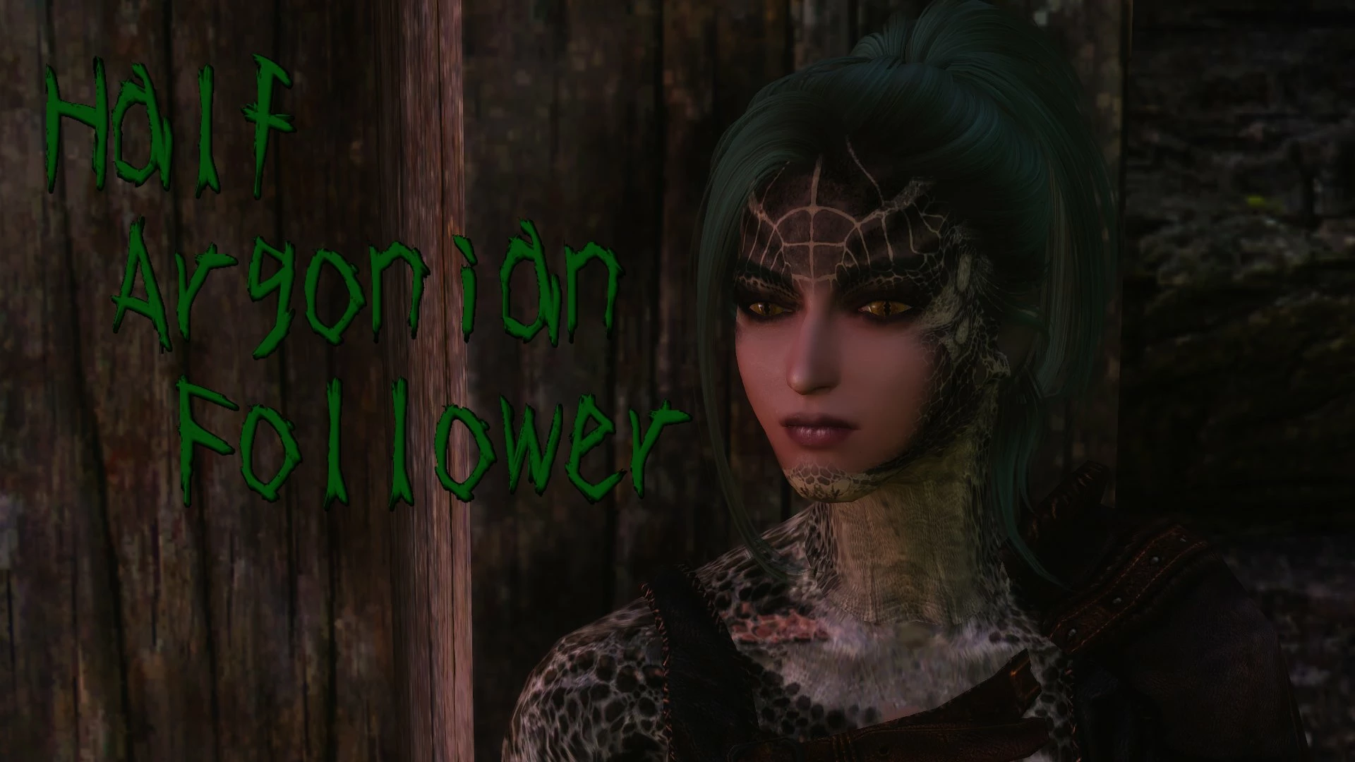 skyrim argonian follower mod skyrim argonian follower mod