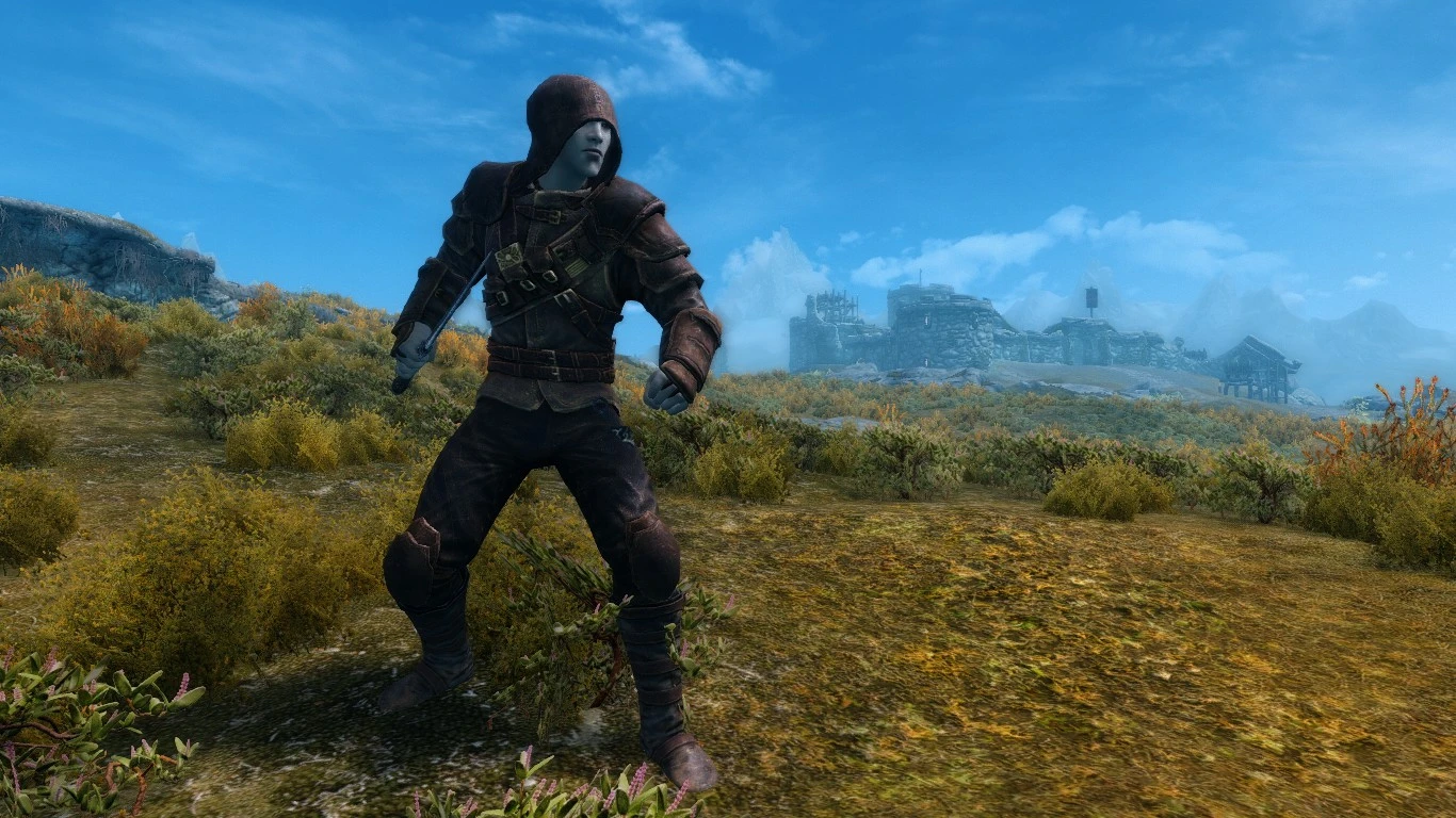 Immersive Thief Wear Guild Armor at Skyrim Nexus - mods and community