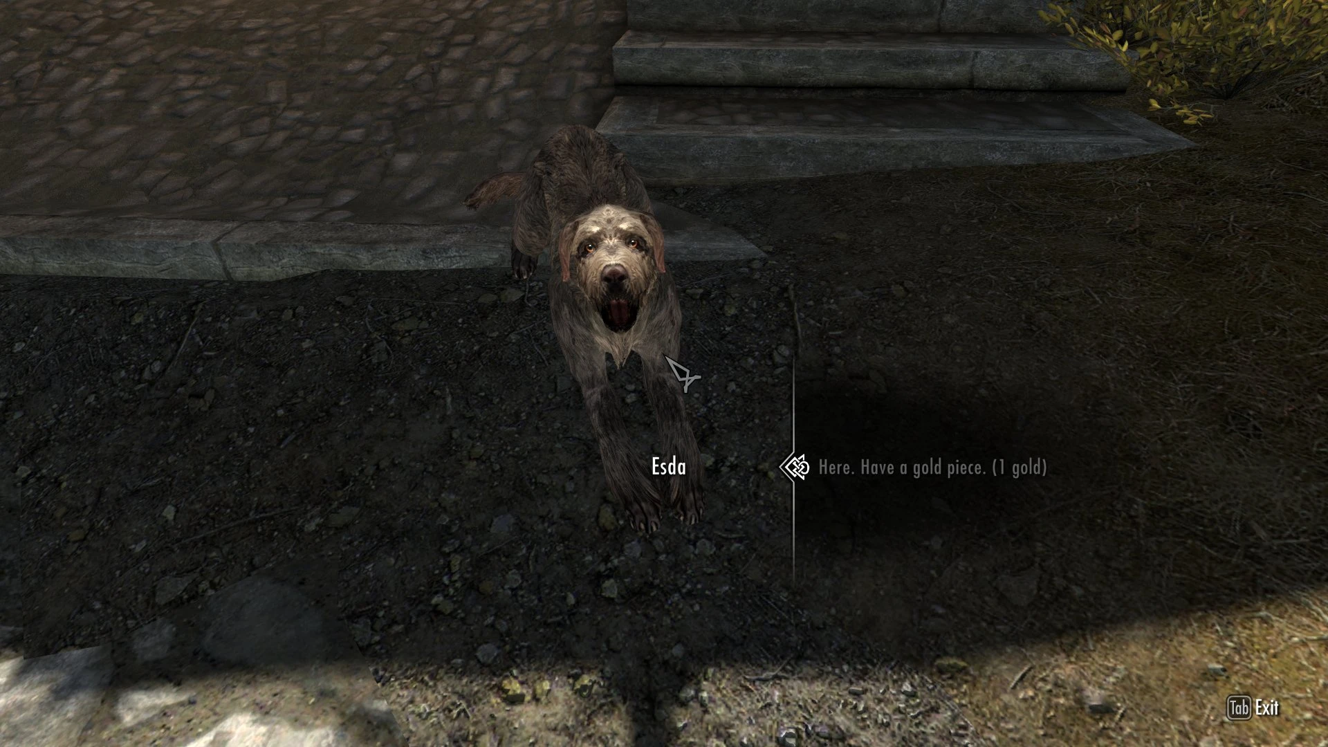 Esda the Beggar Dog at Skyrim Nexus - Mods and Community