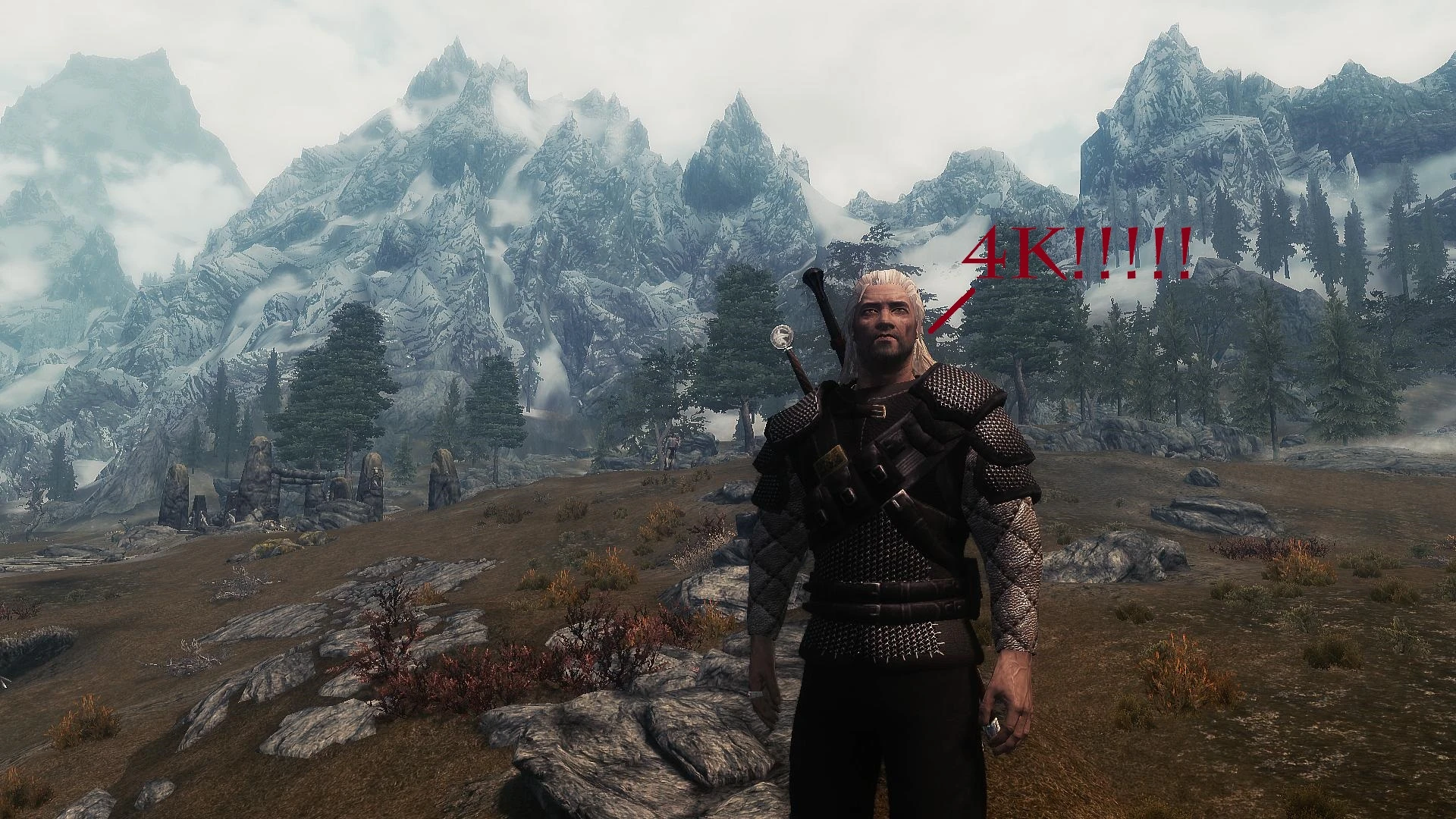 The witcher 3 or skyrim фото 11