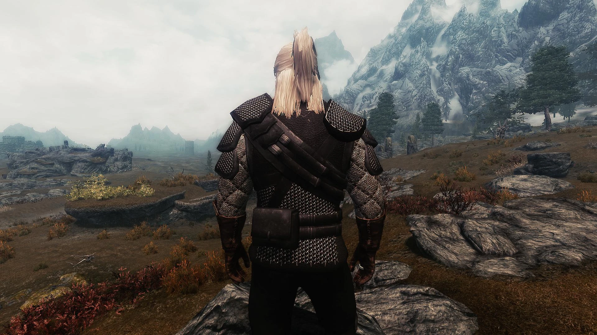 Skyrim the witcher 3 armors фото 20