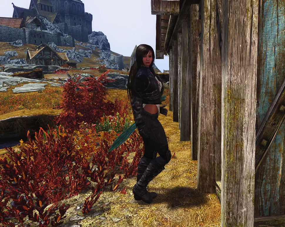 Lilly - A fully-voiced female courier replacer at Skyrim Nexus - Mods ...