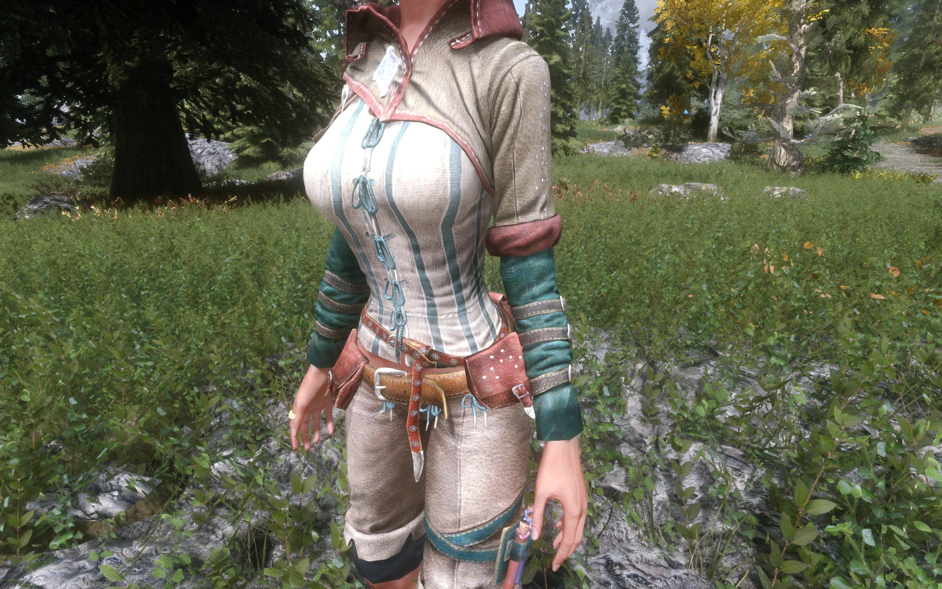 Upgrade For Triss Armor At Skyrim Nexus Mods And Community