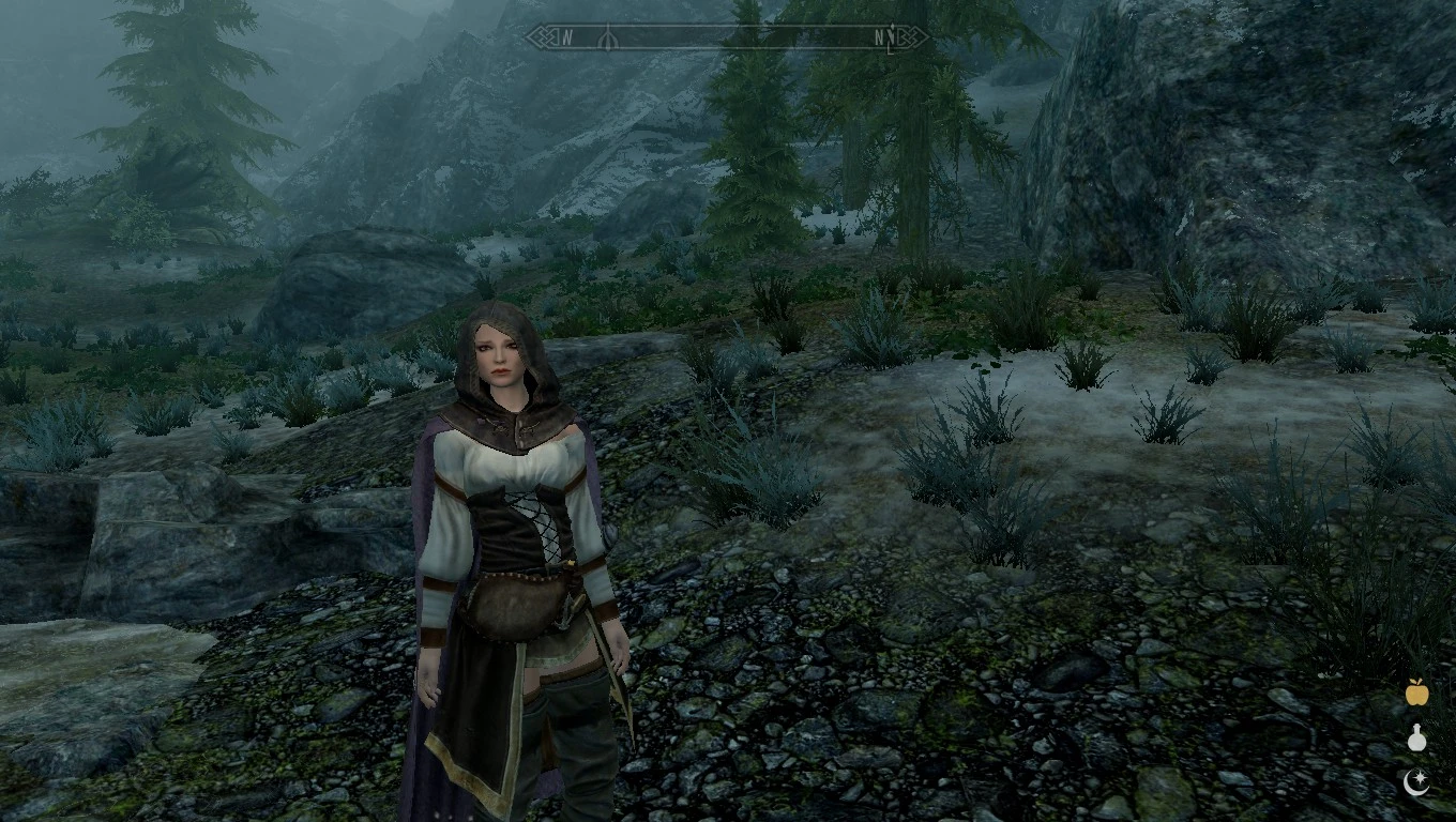 Recorder Standalone Fully Voiced Follower At Skyrim 