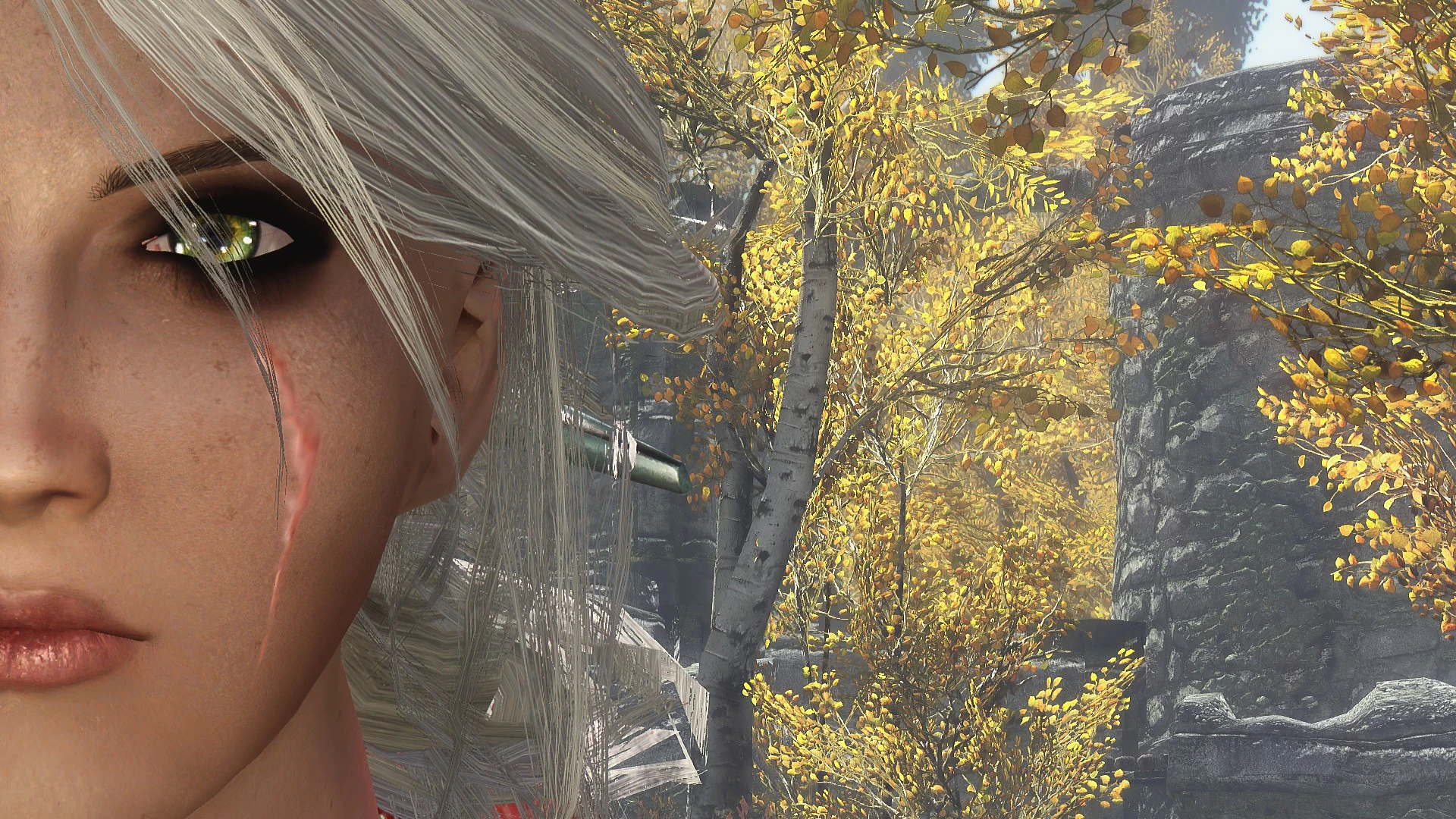 Ciri From Witcher 3 Hair And Racemenu Preset At Skyrim Nexus Mods