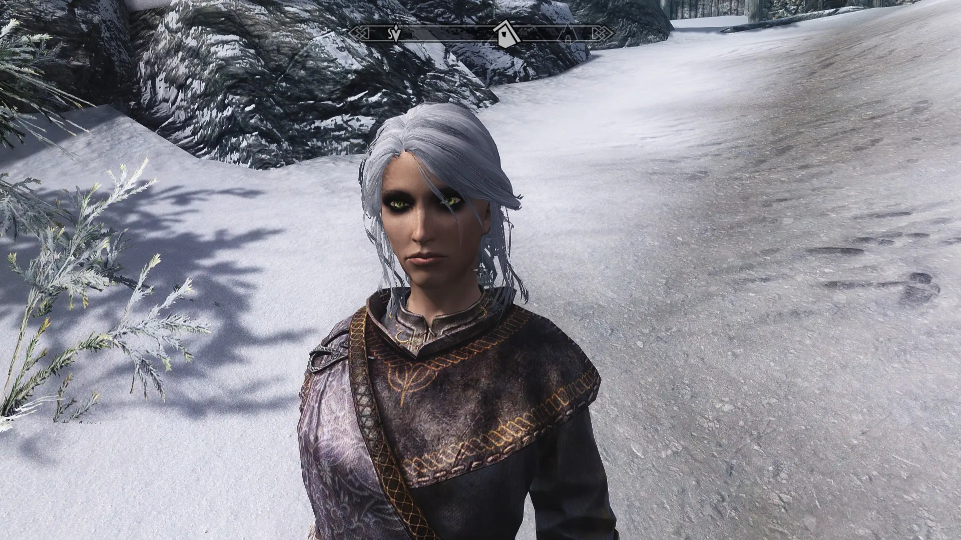 Ciri from Witcher 3 - Hair and RaceMenu Preset at Skyrim Nexus - Mods ...