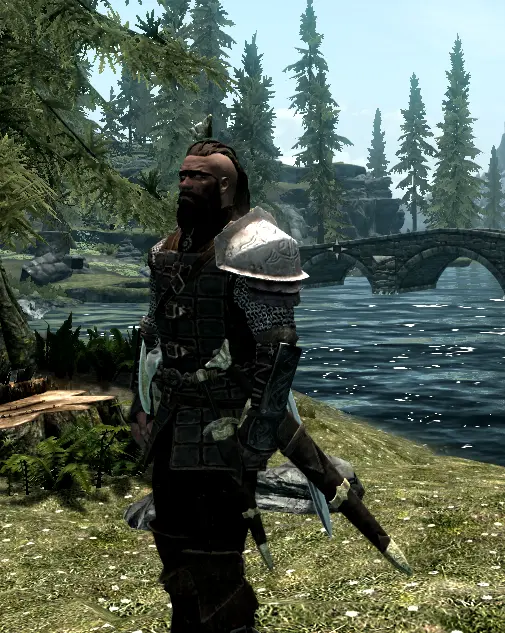 Dawnguard Chainmail at Skyrim Nexus - Mods and Community