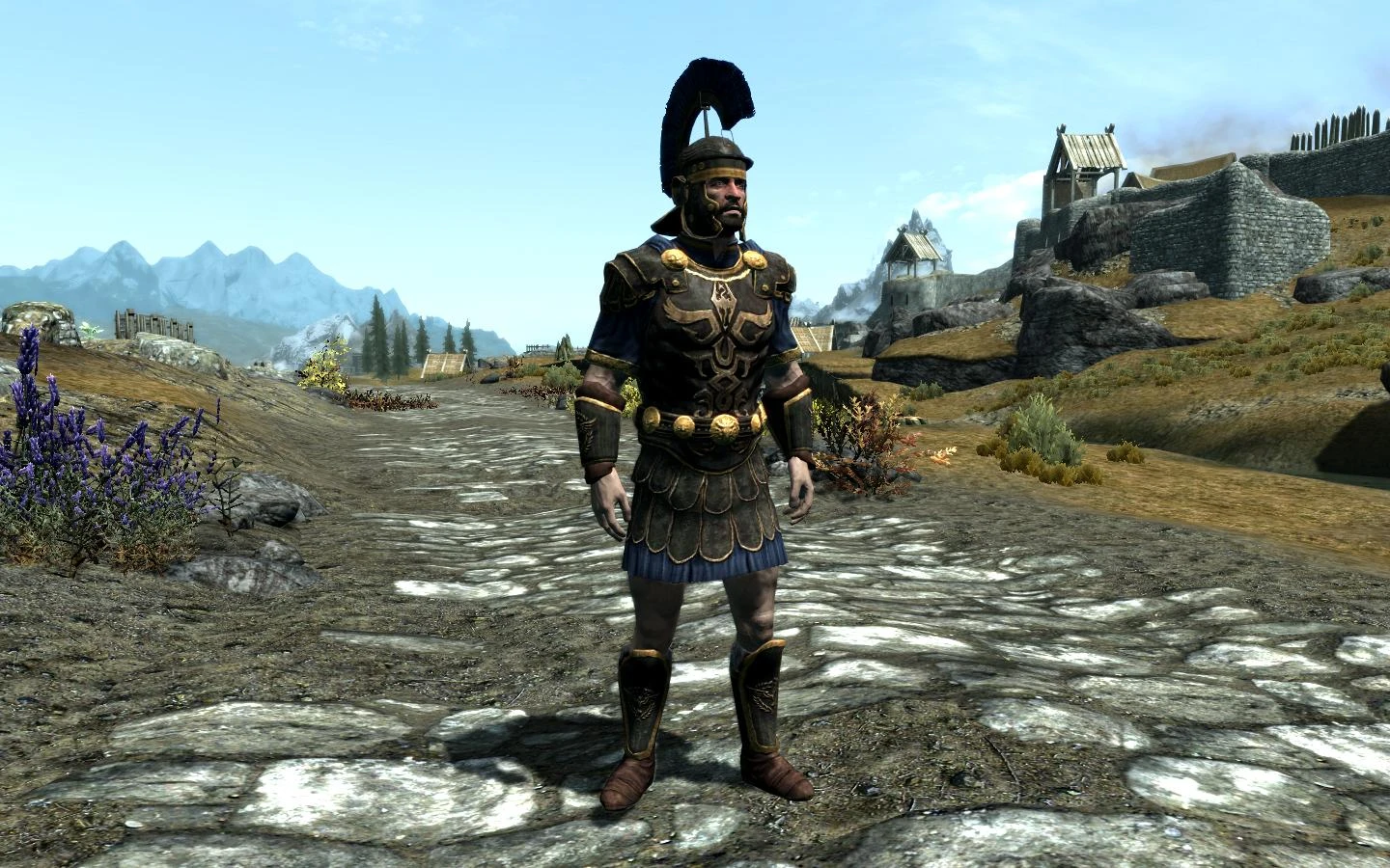 Imperial Champion Knight Protector Armor At Skyrim Nexus Mods And.