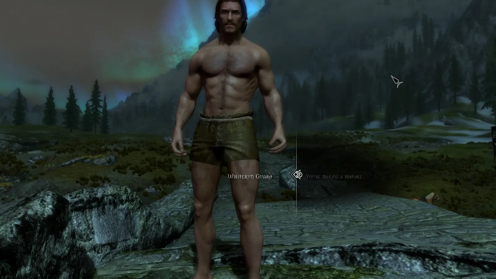 Tempered skins for males skyrim. Скайрим мужские шорты. Нижнее белье скайрим мужские. Скайрим мужские трусы. Скайрим мод на мужское Нижне бельё.