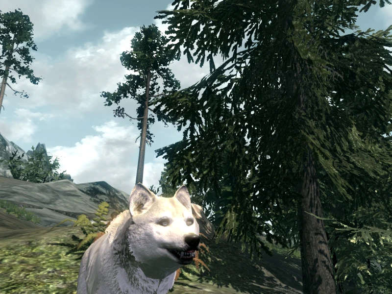 skyrim wolf race mods