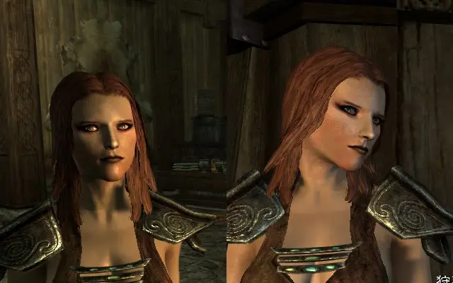 Beautiful Female Npcs At Skyrim Nexus Mods And Community