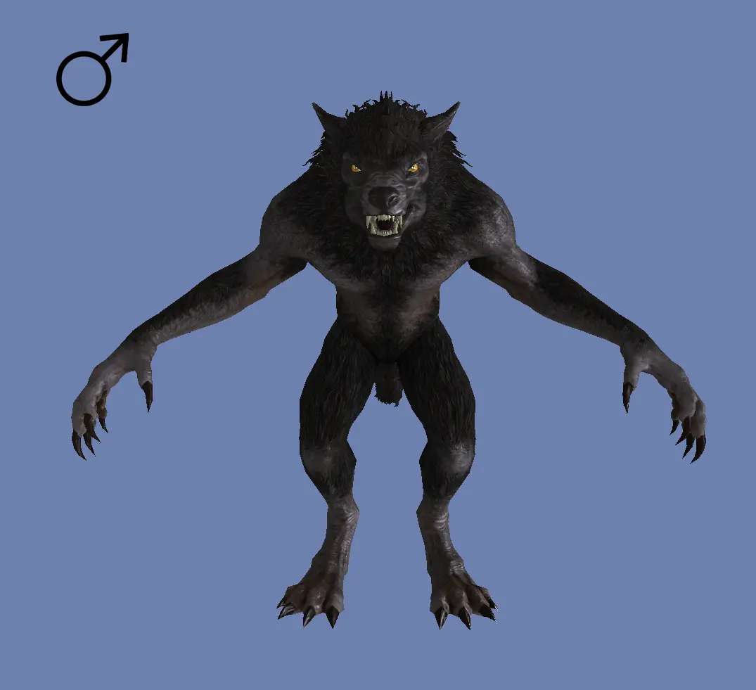 La Femme Lycana Female Werewolf Body at Skyrim Nexus - mods and community