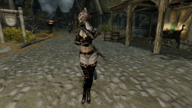 skyrim female khajiit follower skyrim female khajiit follower