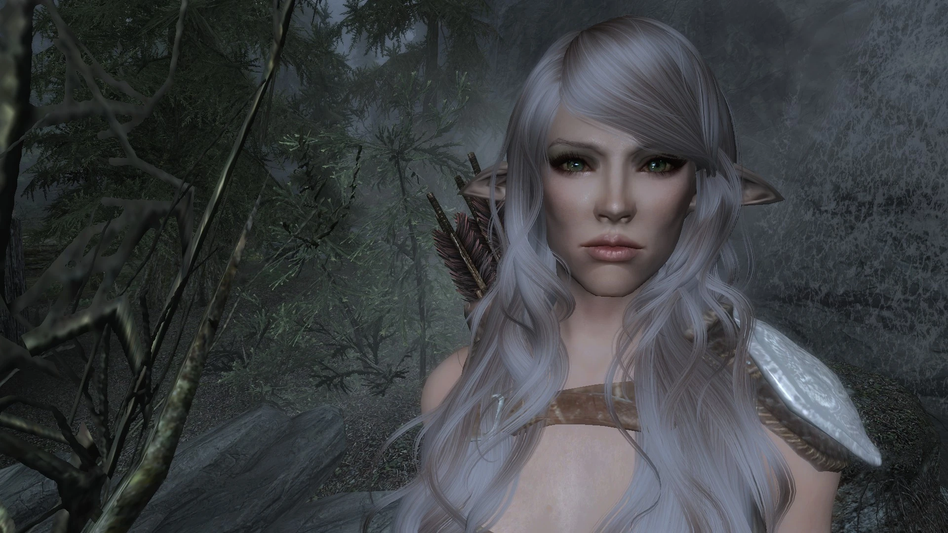 Gallery of Skyrim Dark Elf Female Racemenu Preset.
