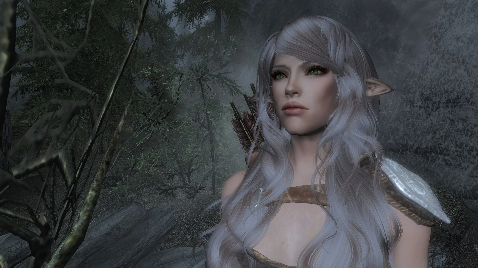 Serine - A Pretty Wood Elf Preset at Skyrim Nexus - mods and community.