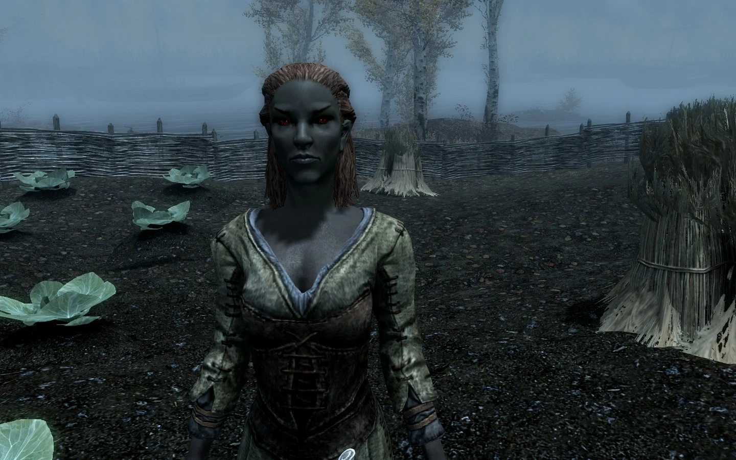 Smoother face for female dark elves XCE at Skyrim Nexus - mods and. 