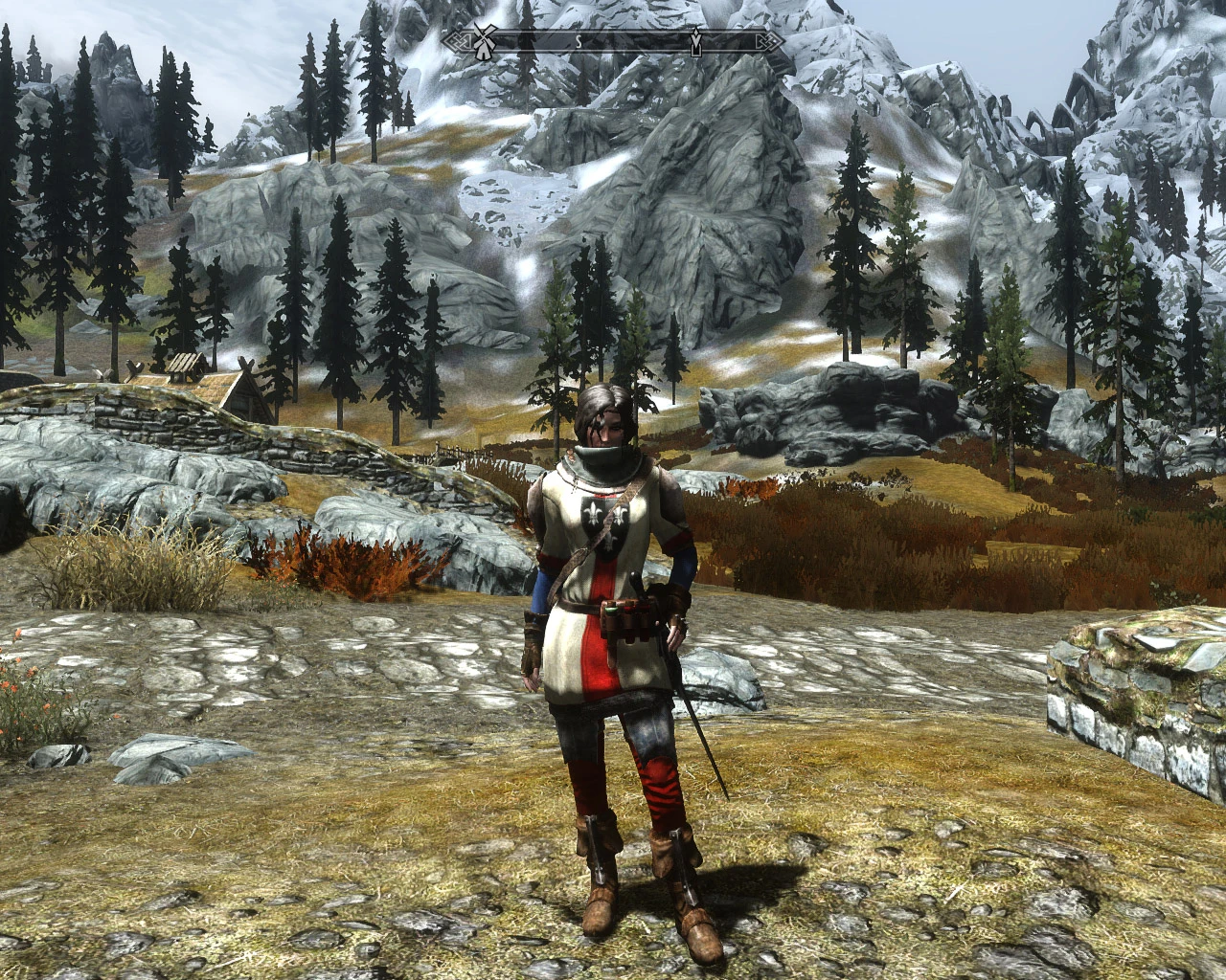 Skyrim the witcher 3 armors фото 67