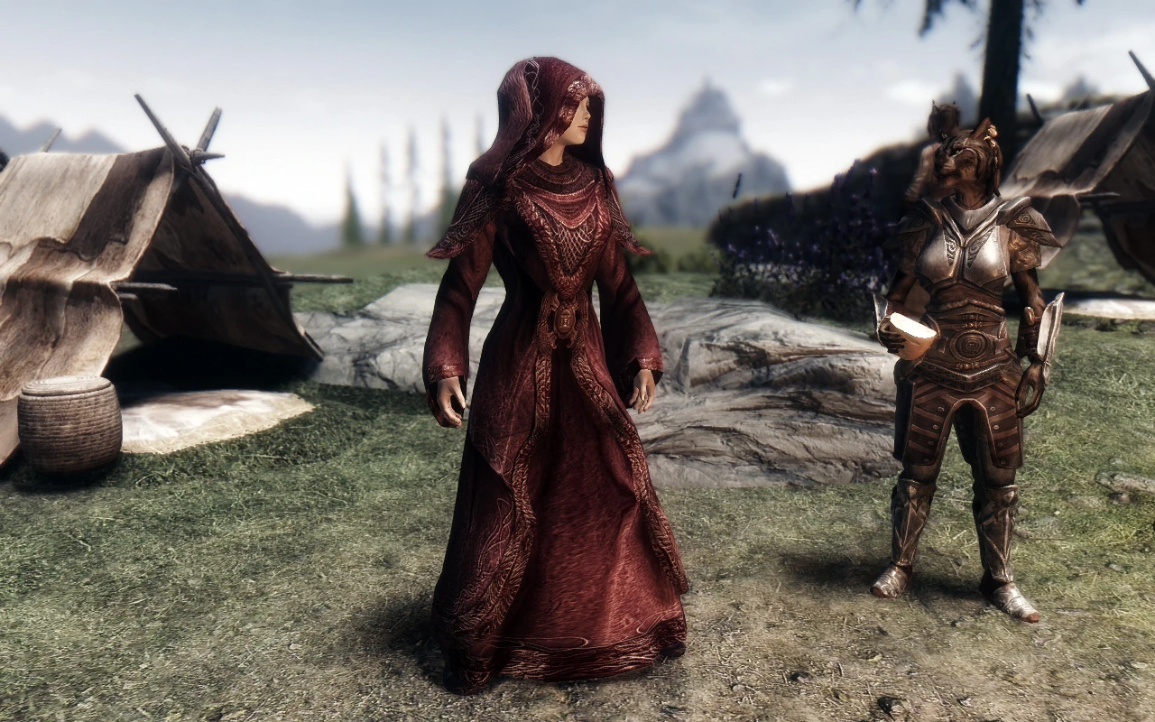 Skyrim Mage Robe Mod