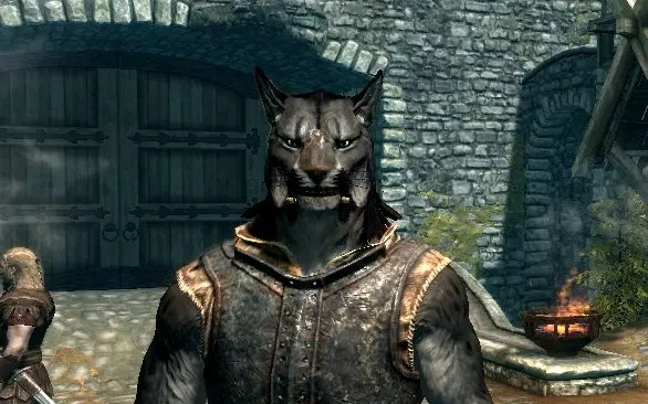 khajiit follower mod shiira