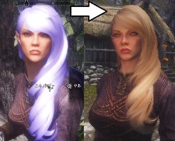 Minerva Custom High Elf Voiced Follower Japanese At Skyrim Nexus Mods And Community