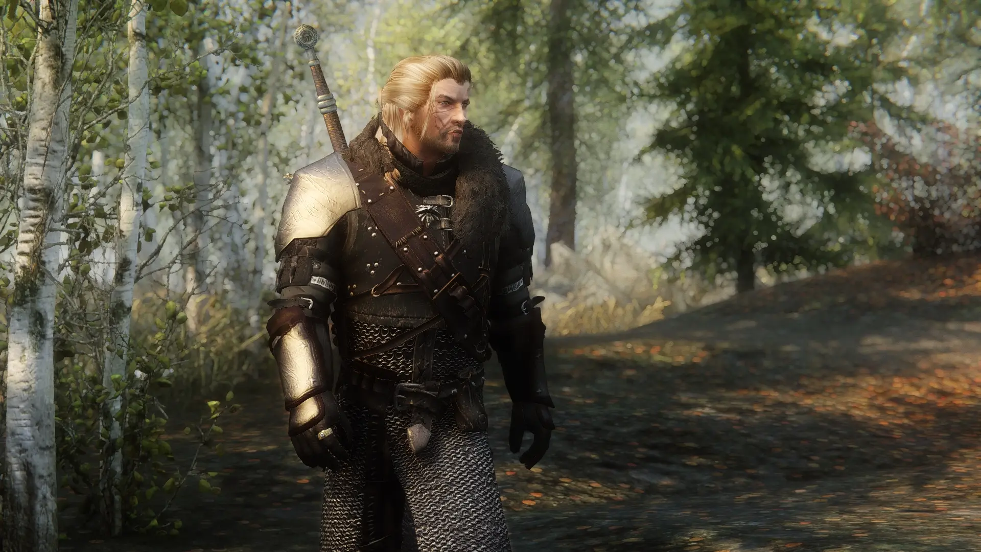 The witcher 3 mods armor фото 83