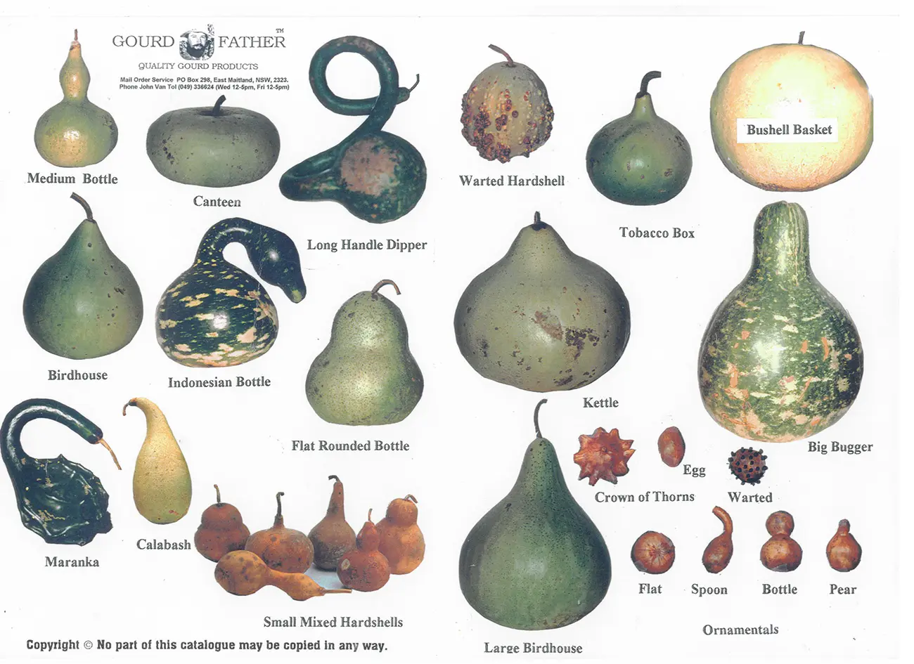 Gourds of Skyrim A Book Replacer at Skyrim Nexus mods and community